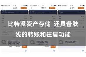 比特派资产存储 还具备肤浅的转账和往复功能